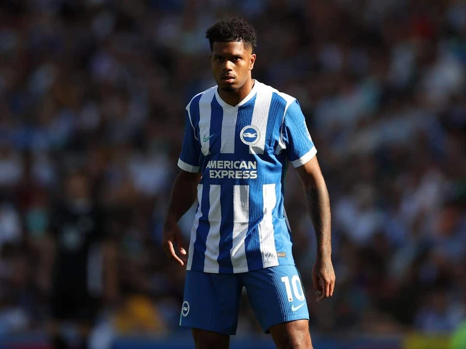 佩德罗离开 佩德罗离开