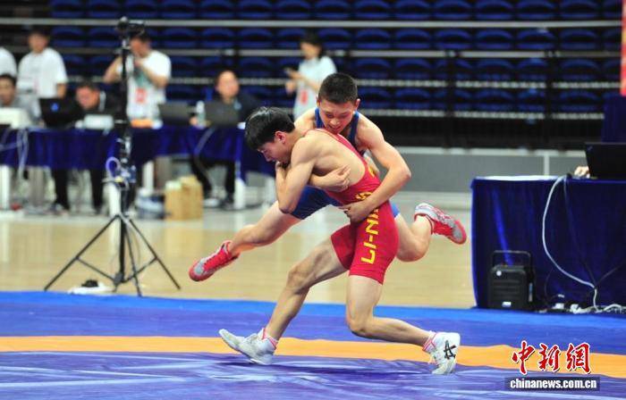 国际式摔跤 国际式摔跤