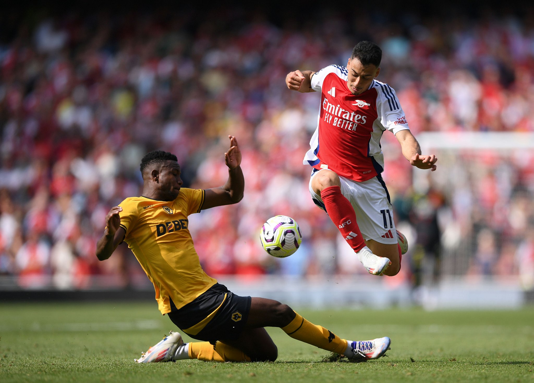 宫进行了非 宫进行了非