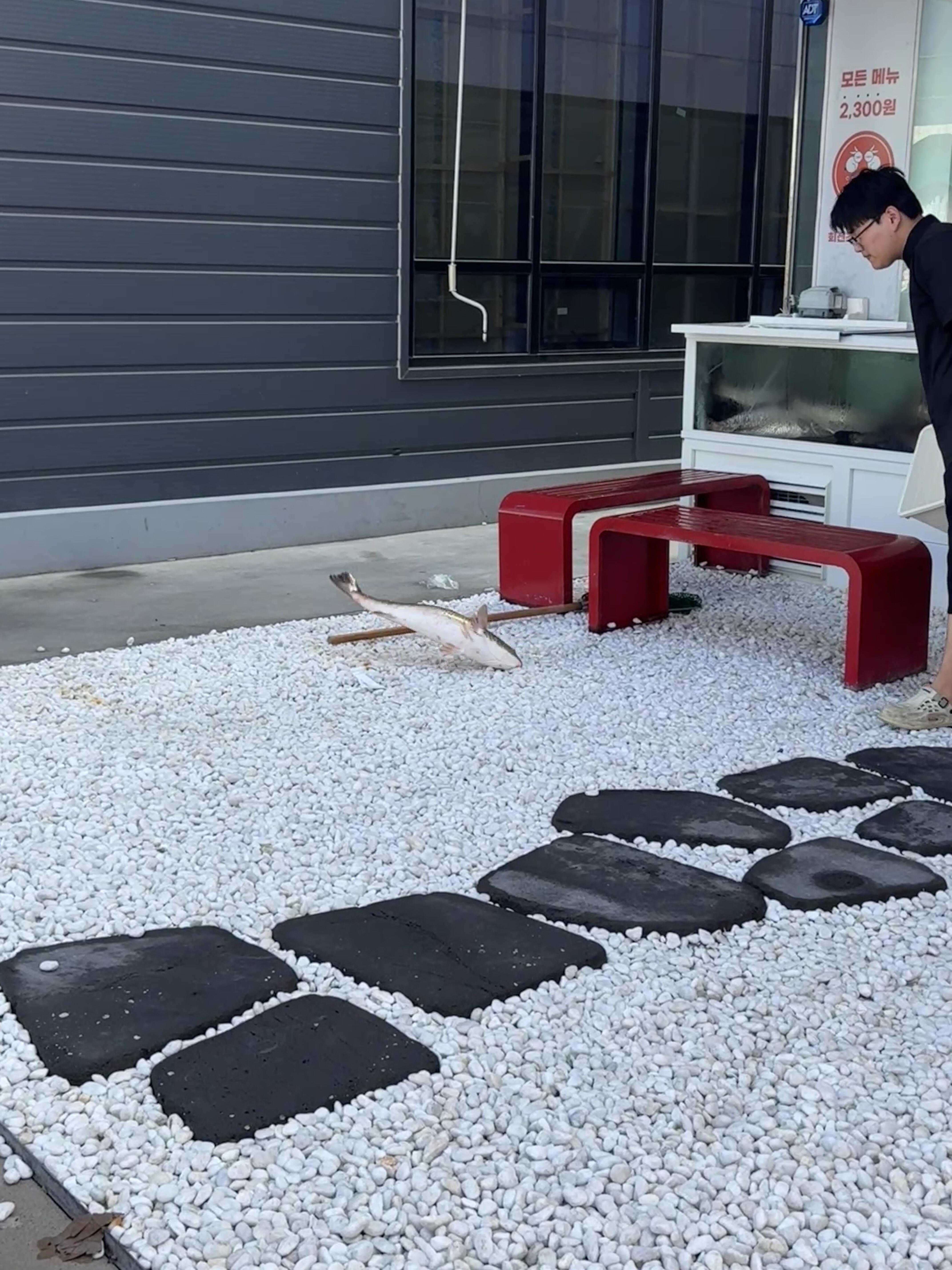 交媒体上分, 蔚山现代, 赛第一轮