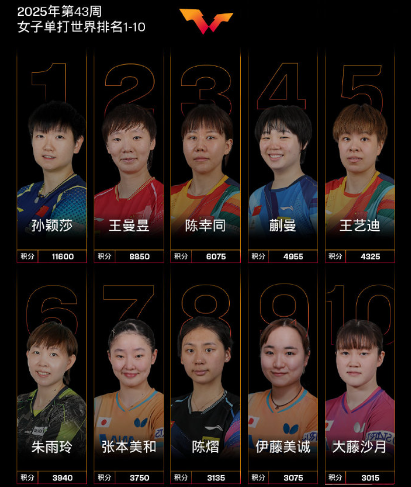 的选手, 石洵瑶 的选手, 石洵瑶